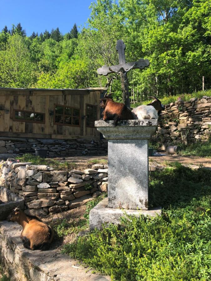 Gîte Terra Bosca Cambounes Extérieur photo
