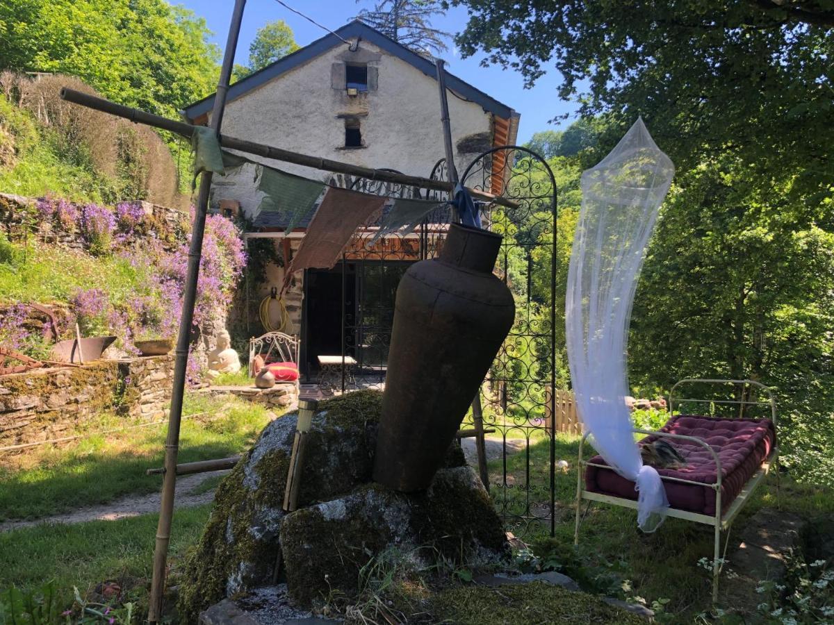 Gîte Terra Bosca Cambounes Extérieur photo