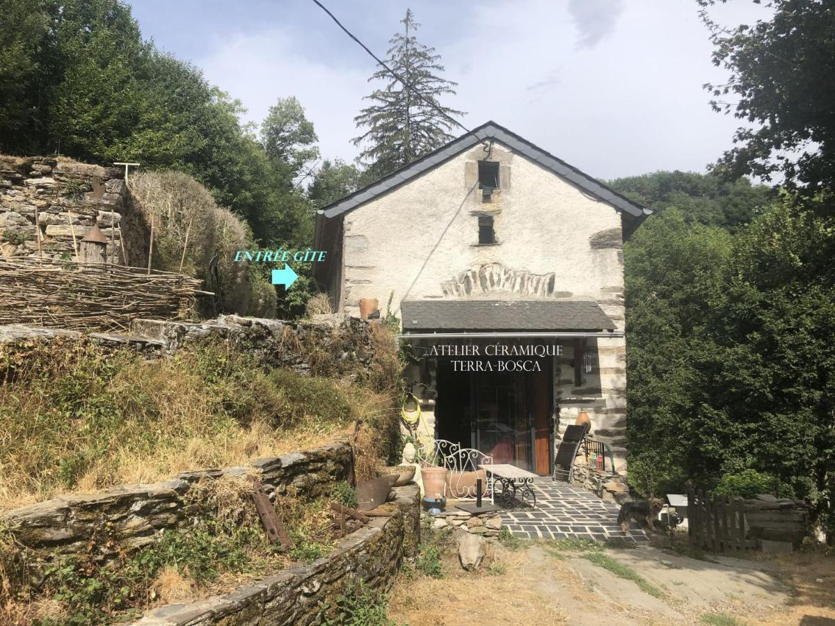 Gîte Terra Bosca Cambounes Extérieur photo