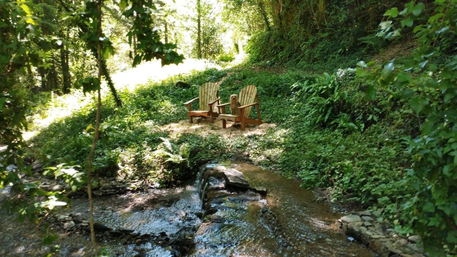 Gîte Terra Bosca Cambounes Extérieur photo